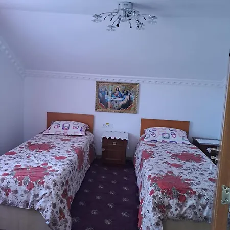 Pensiunea Floare De Bucovina 3*